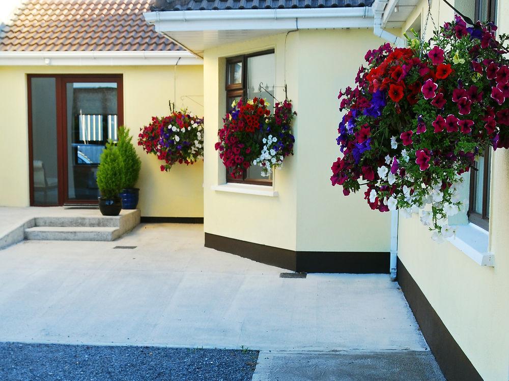 Hillview House Ξενοδοχείο Lusk Εξωτερικό φωτογραφία